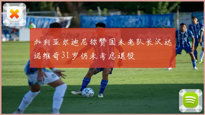 加利亚尔迪尼称赞国米老队长汉达诺维奇31岁仍未考虑退役