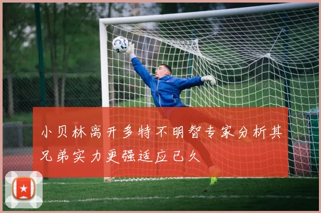 小贝林离开多特不明智专家分析其兄弟实力更强适应已久