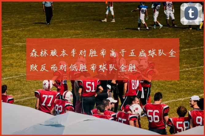 森林狼本季对胜率高于五成球队全败反而对低胜率球队全胜