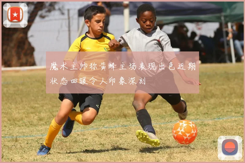 魔术主帅称黄蜂主场表现出色近期状态回暖令人印象深刻