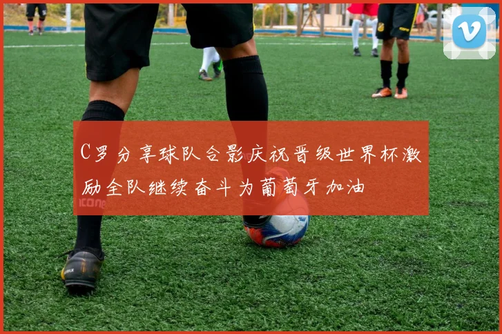 C罗分享球队合影庆祝晋级世界杯激励全队继续奋斗为葡萄牙加油